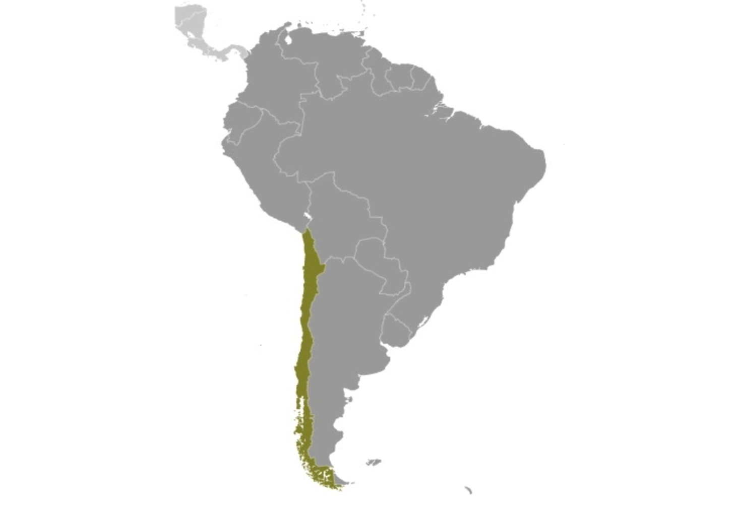 map of CHILE